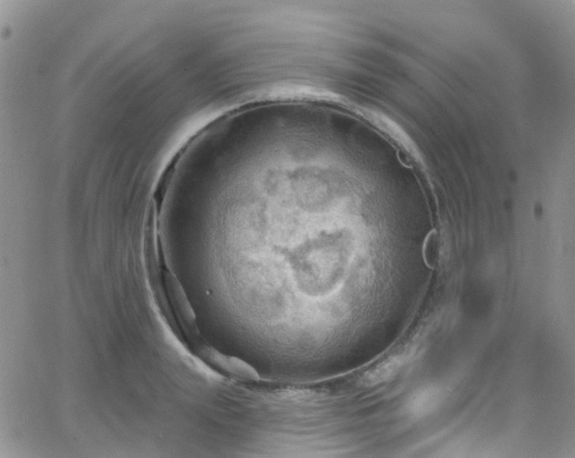 X0000066090847200603171053