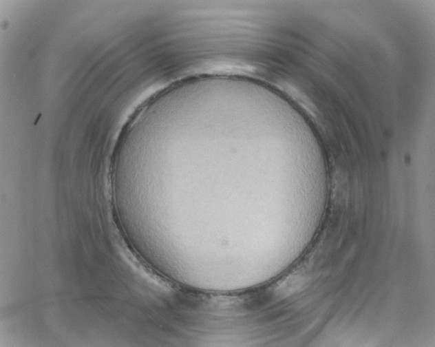 X0000066090848200603171053