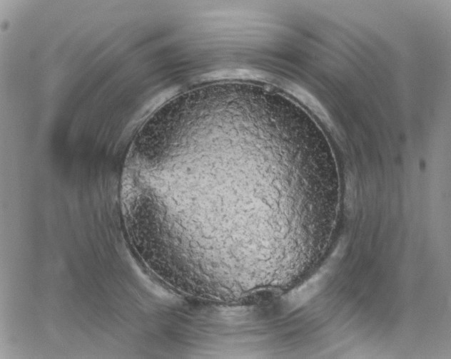 X0000066090849200603171053