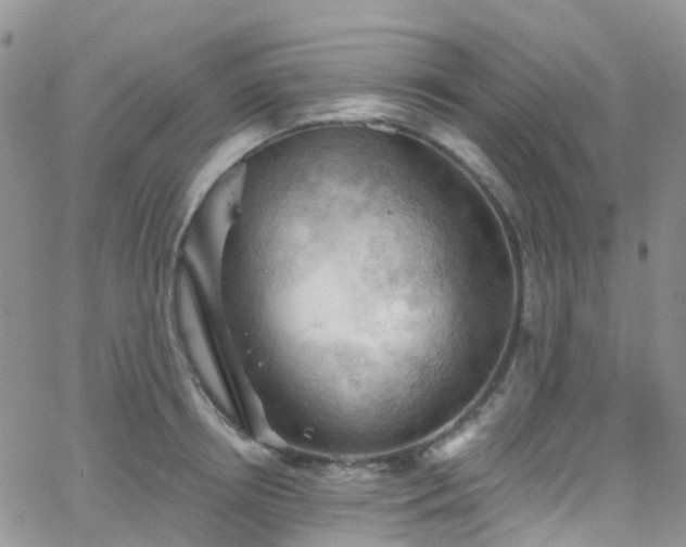 X0000066090850200603171053