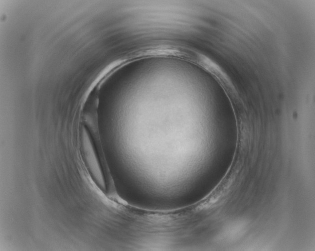 X0000066090852200603171053