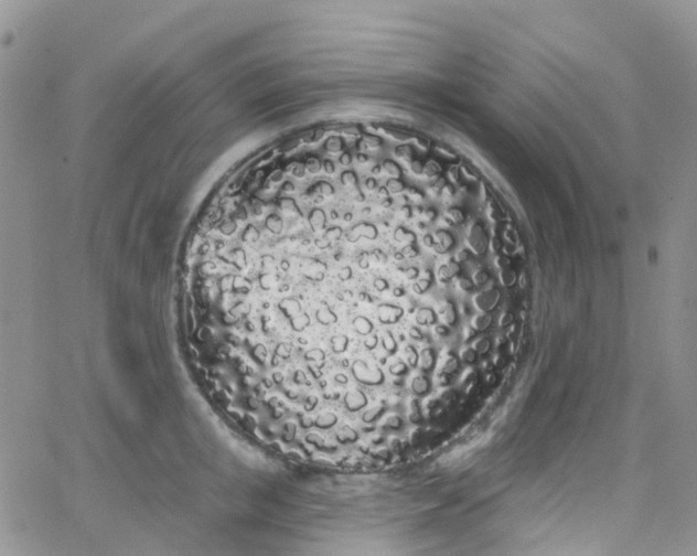 X0000066090853200603171053