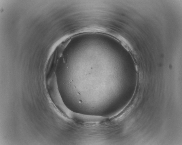 X0000066090854200603171053