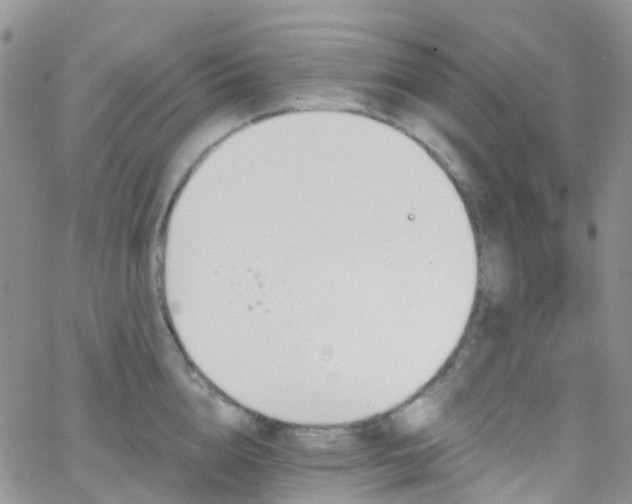 X0000066090856200603171053