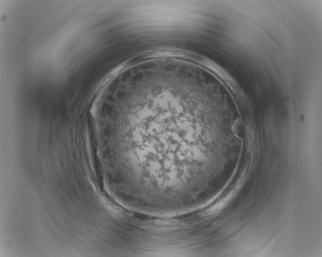 X0000066090857200603171054