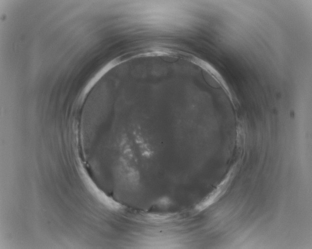 X0000066090859200603171054