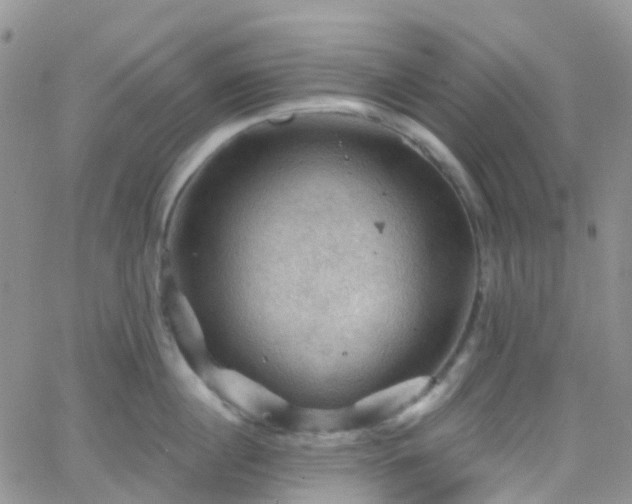 X0000066090860200603171054