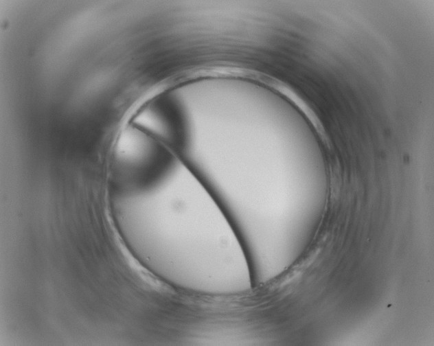 X0000066090861200603171054