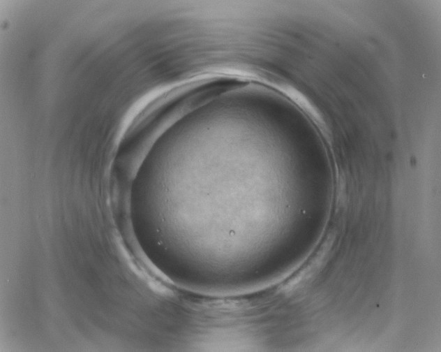 X0000066090862200603171054