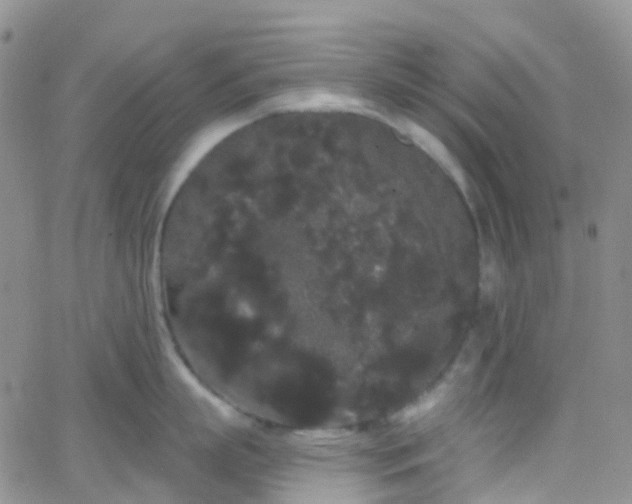 X0000066090863200603171054