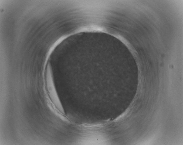 X0000066090864200603171054