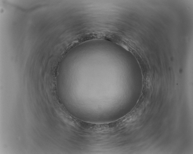 X0000066090865200603171053