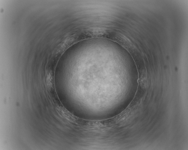 X0000066090866200603171053