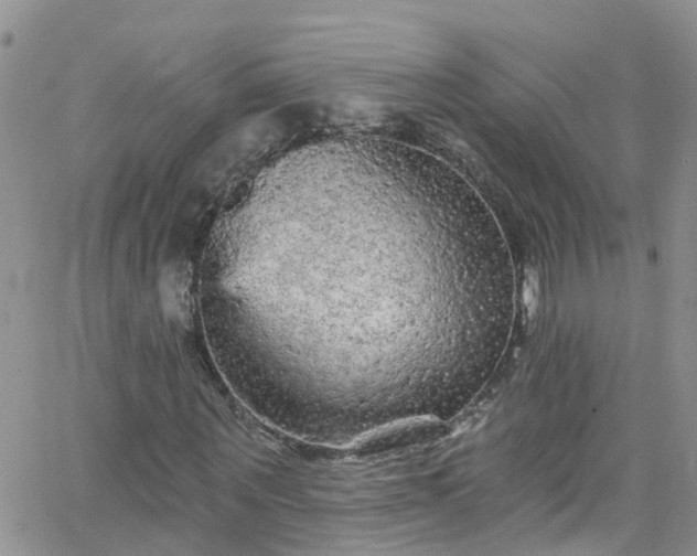 X0000066090867200603171053