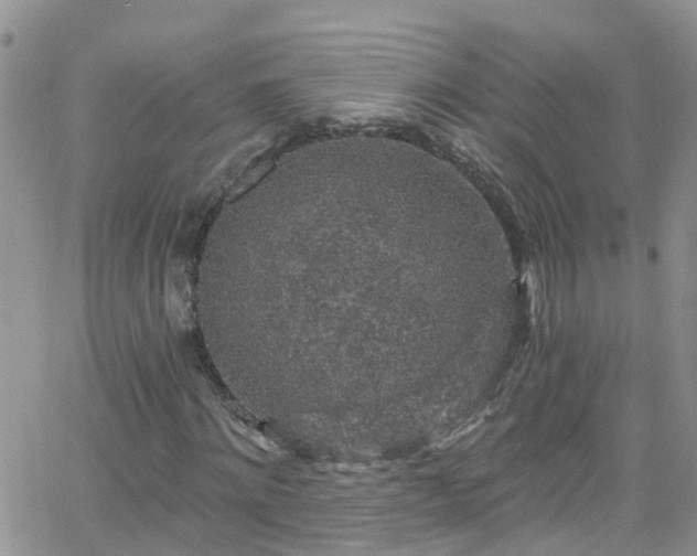 X0000066090868200603171053