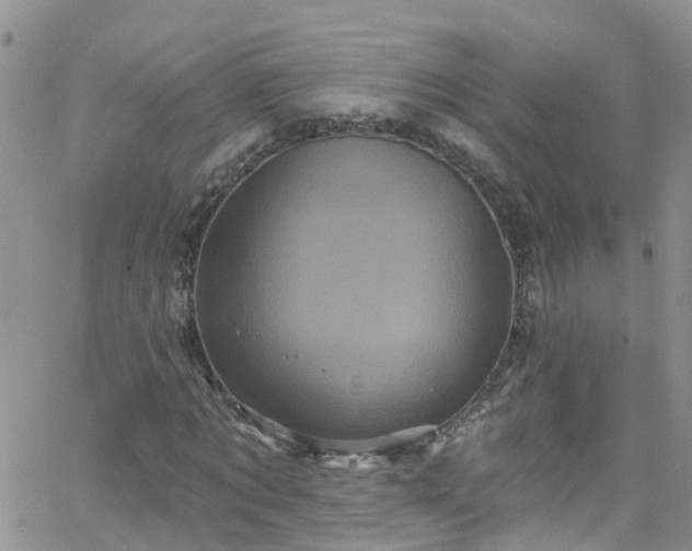 X0000066090869200603171053