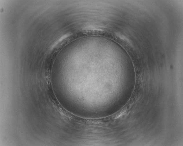 X0000066090870200603171053