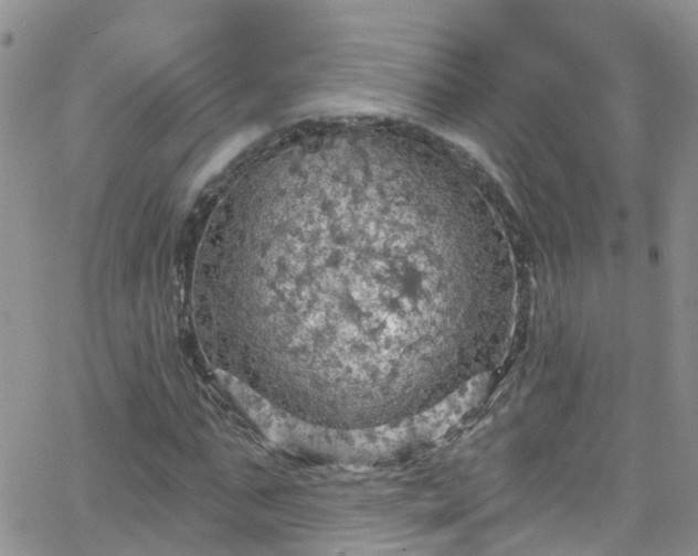 X0000066090871200603171053