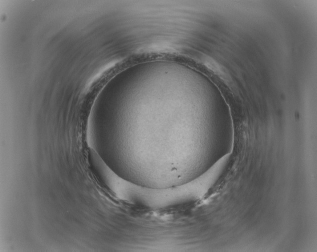 X0000066090872200603171053