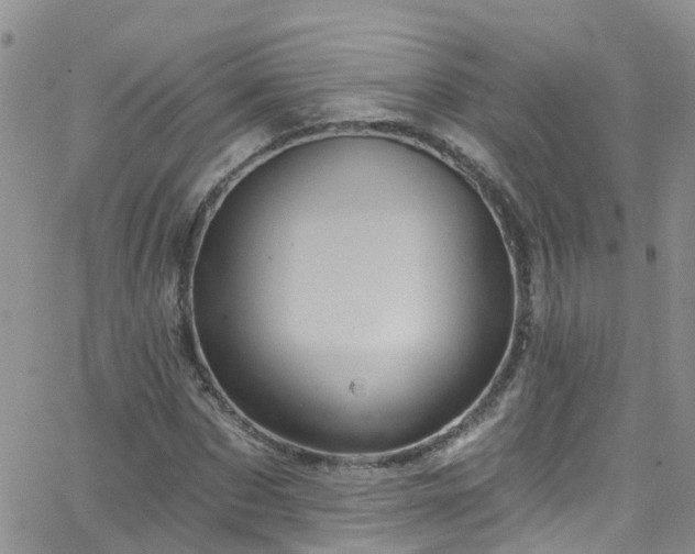 X0000066090873200603171053