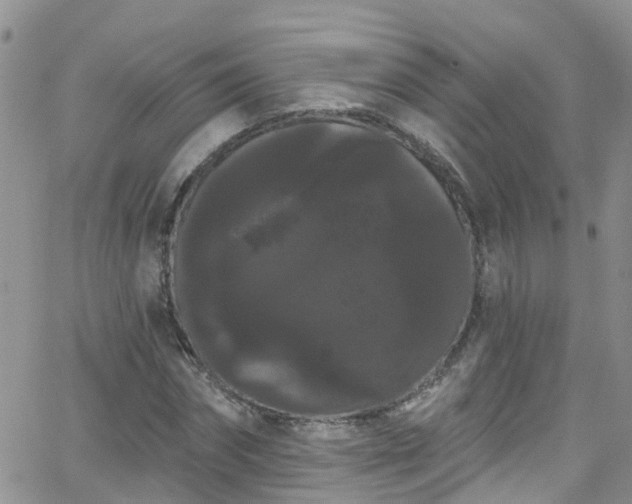 X0000066090874200603171053