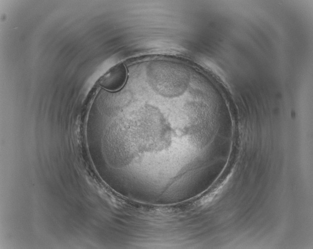 X0000066090875200603171053