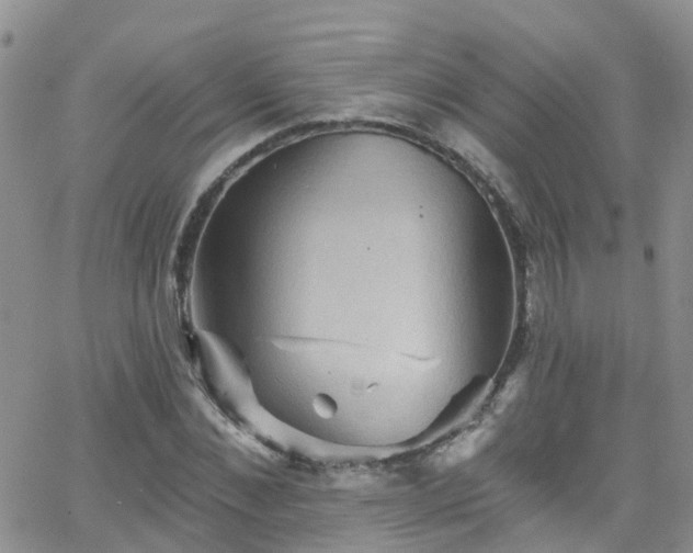 X0000066090876200603171053