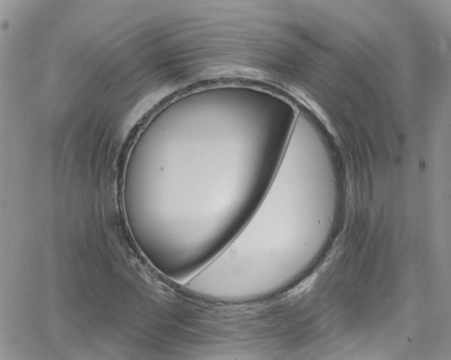 X0000066090877200603171053