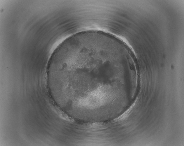 X0000066090879200603171053