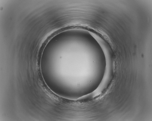 X0000066090880200603171053