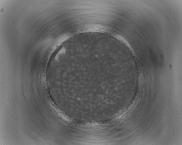 X0000066090882200603171053