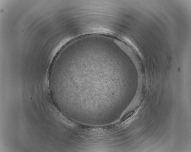 X0000066090883200603171053