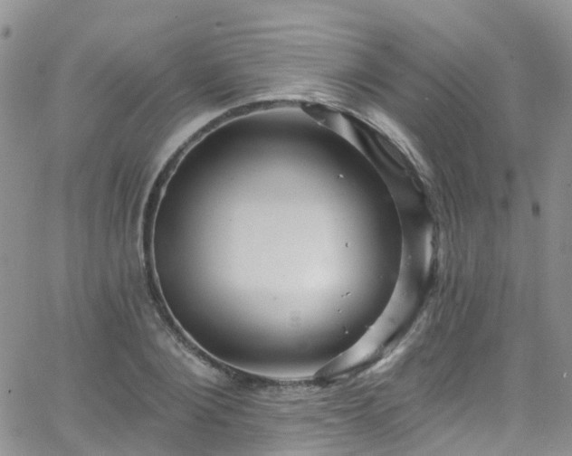 X0000066090884200603171053