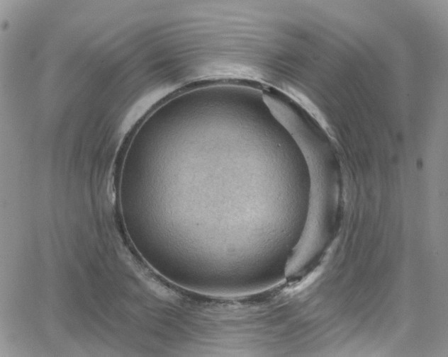 X0000066090885200603171053