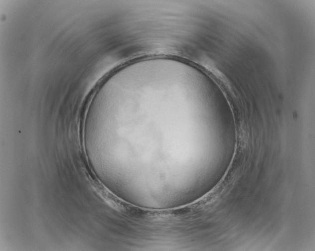 X0000066090886200603171053