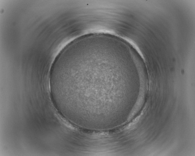 X0000066090887200603171052