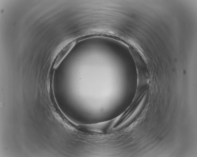 X0000066090888200603171052