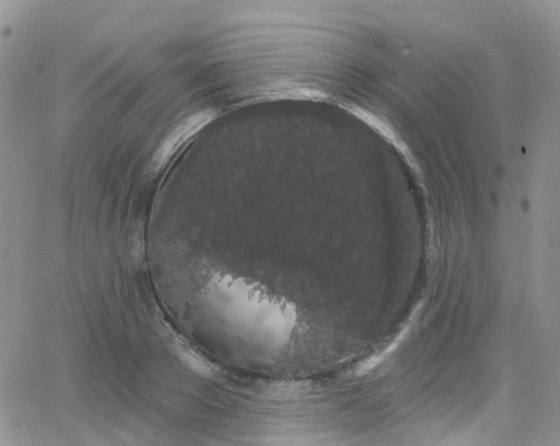 X0000066090889200603171052