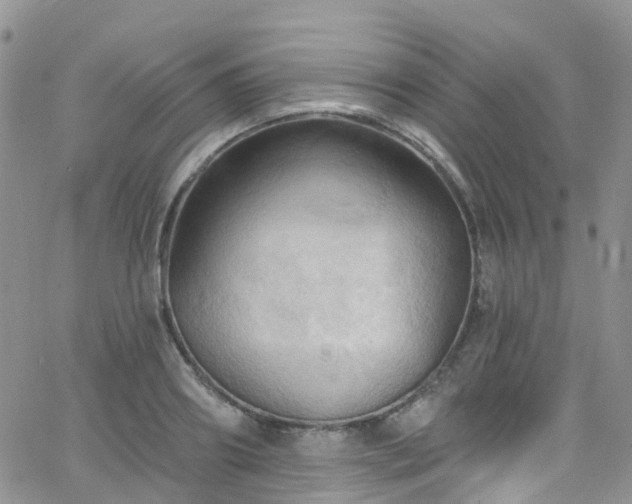 X0000066090890200603171052