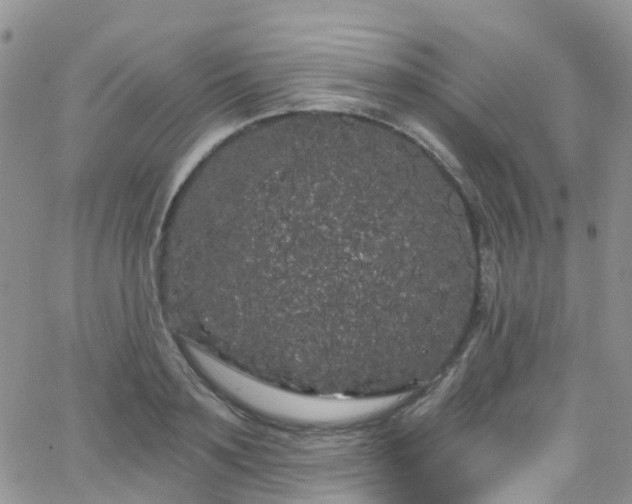 X0000066090891200603171052