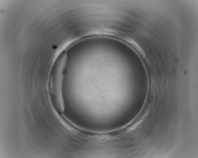 X0000066090893200603171052