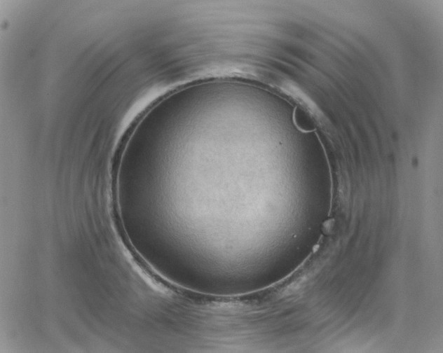 X0000066090894200603171052