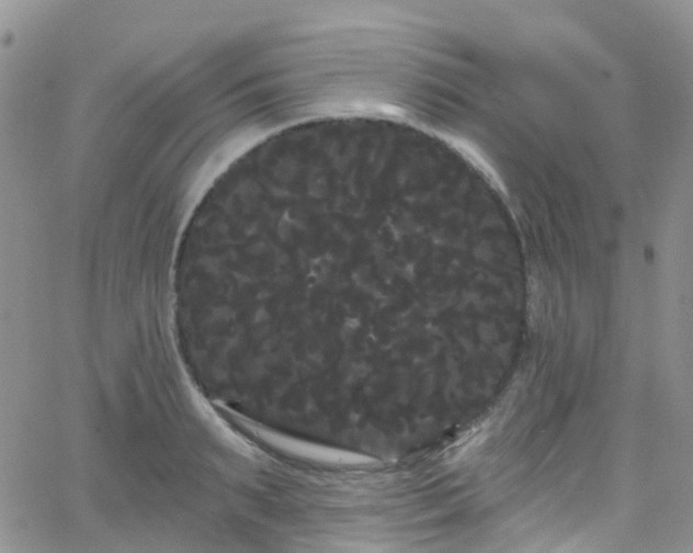 X0000066090895200603171052