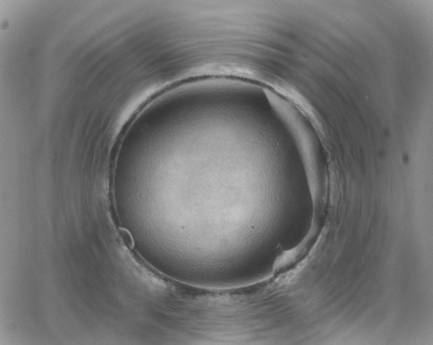 X0000066090896200603171052