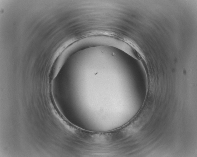 X0000066090898200603171052