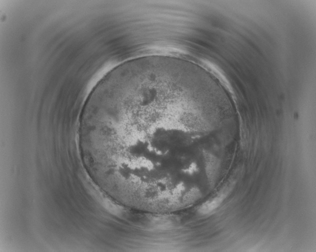 X0000066090899200603171052