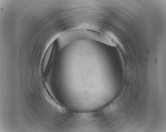 X0000066090900200603171052