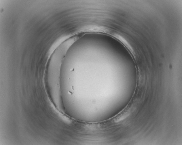 X0000066090901200603171052