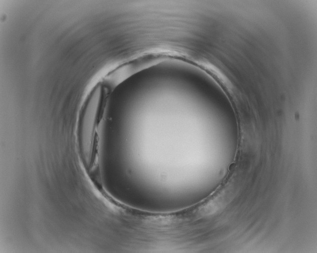 X0000066090902200603171052