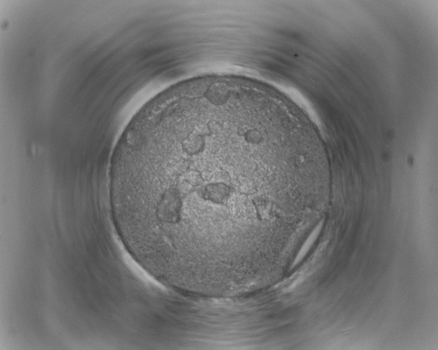 X0000066090903200603171052